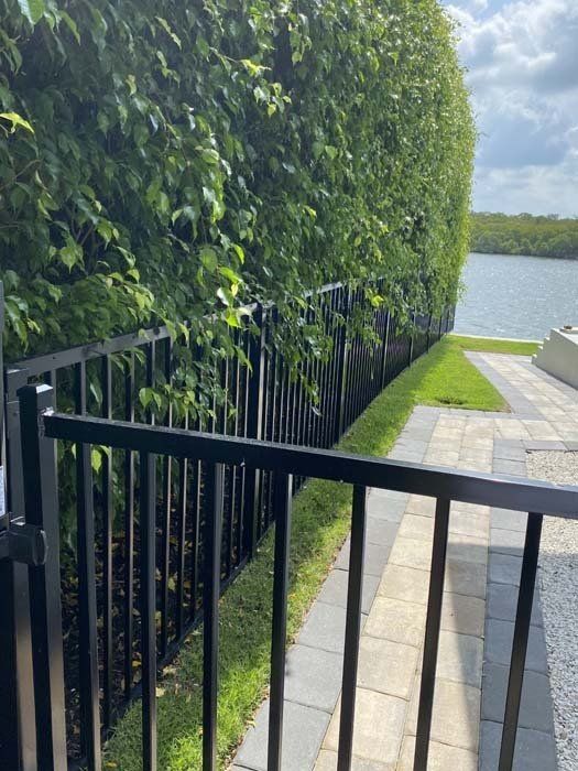 Black Aluminum Fence — Naples, FL — Classified Fence and Gate