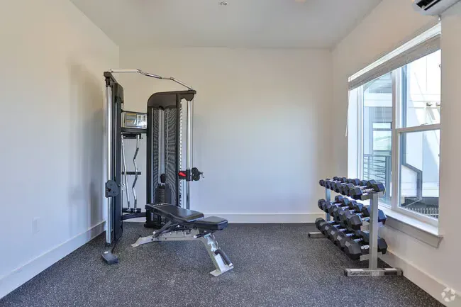 Gym with weight machine, dumbbells, bench, and window in white-walled room with carpet.