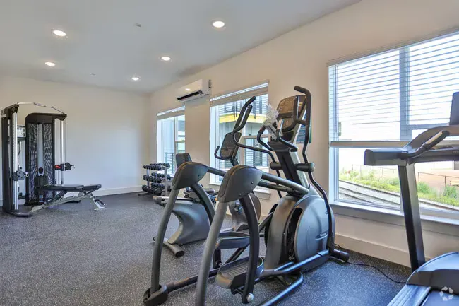 Gym interior with exercise equipment: elliptical machines, weights, weight machine, and a treadmill, near windows.