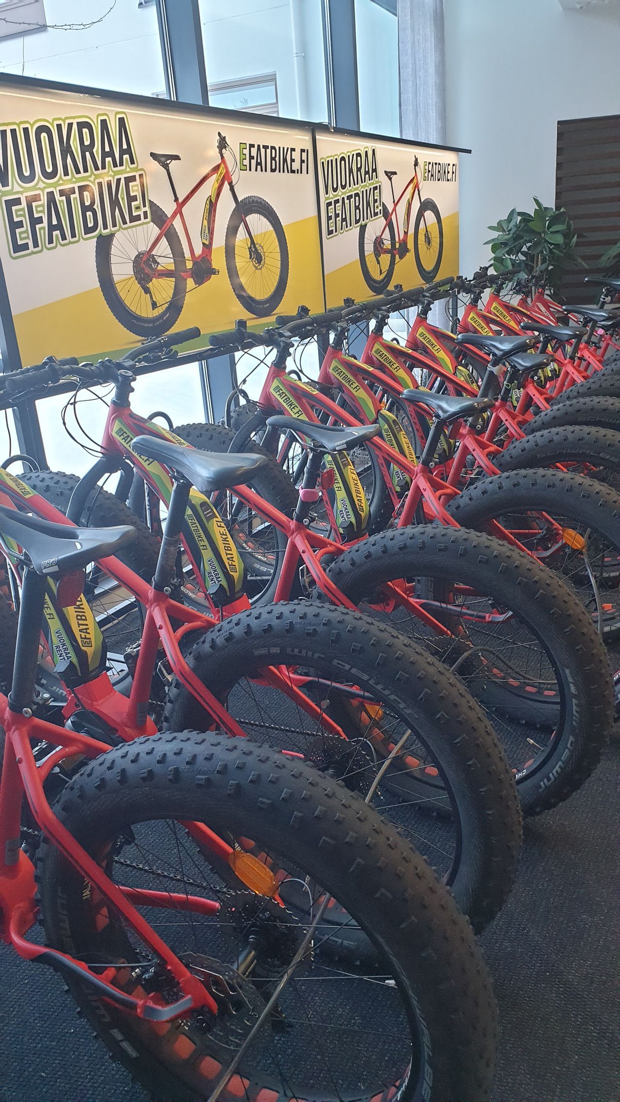 A bunch of bicycles are lined up in a row in a room.