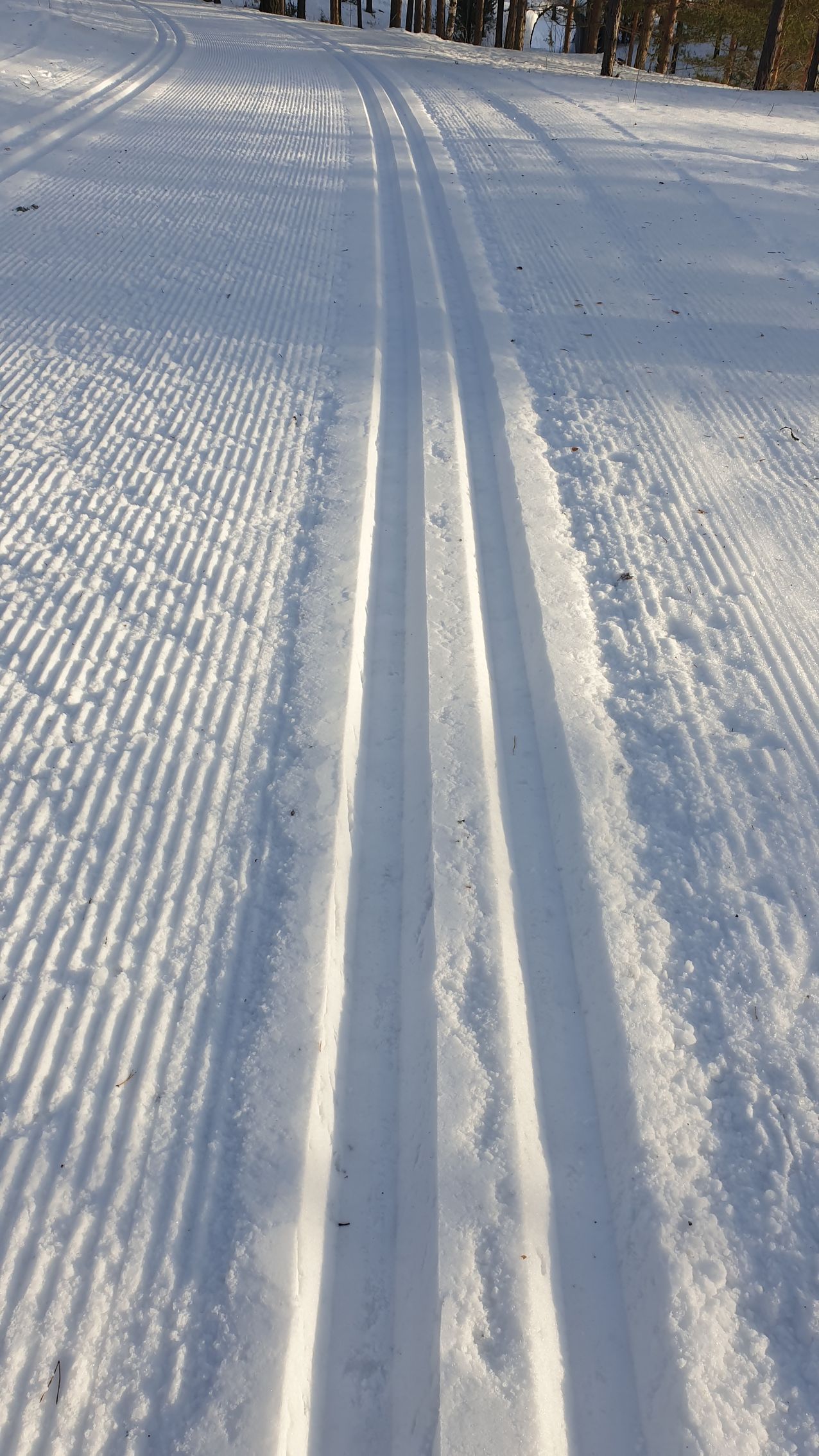 A close up of a snowy road with skis on it.
