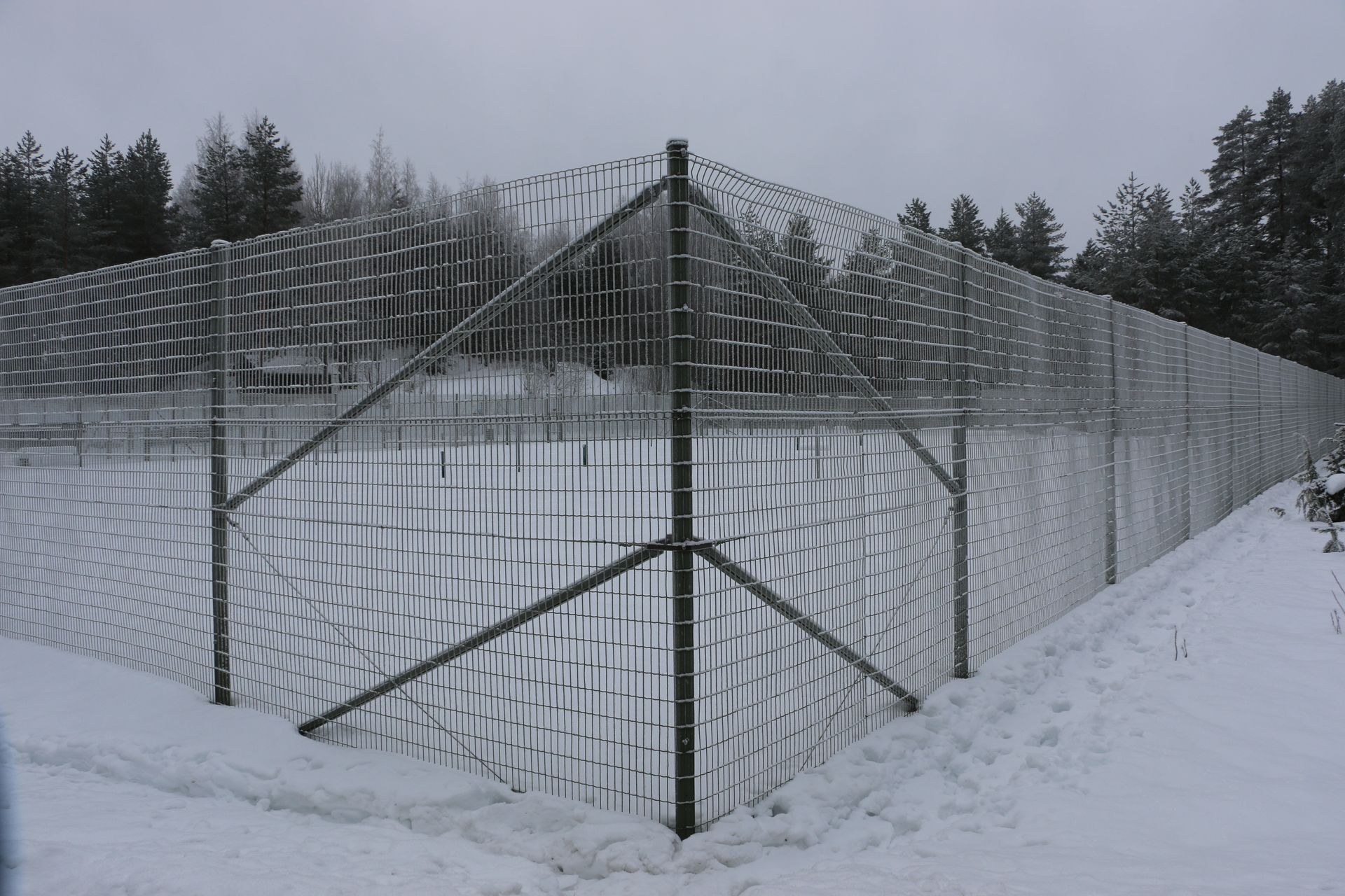 A barbed wire fence in the snow with trees in the background