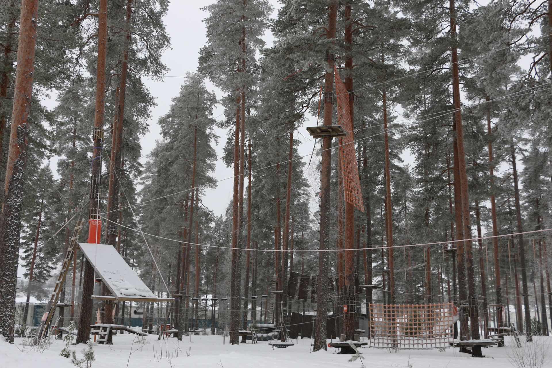 A snowy forest with a ropes course in the middle