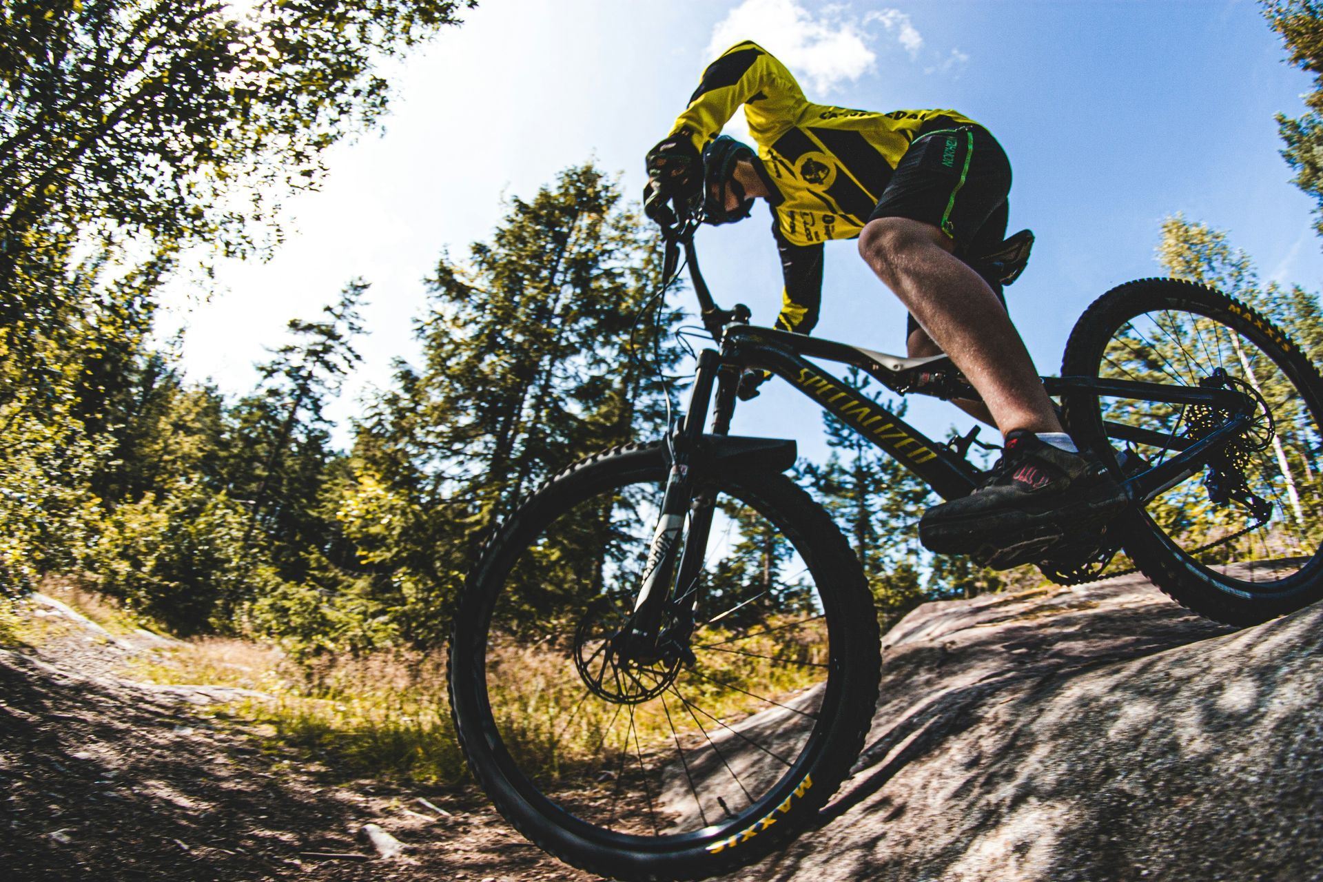 A person is riding a mountain bike on a trail.