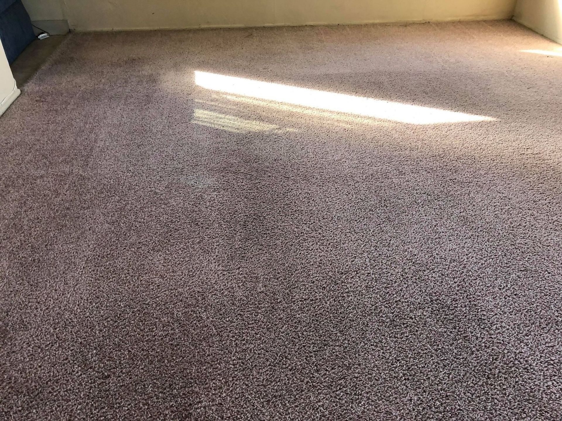 A room with a purple carpet and a window.