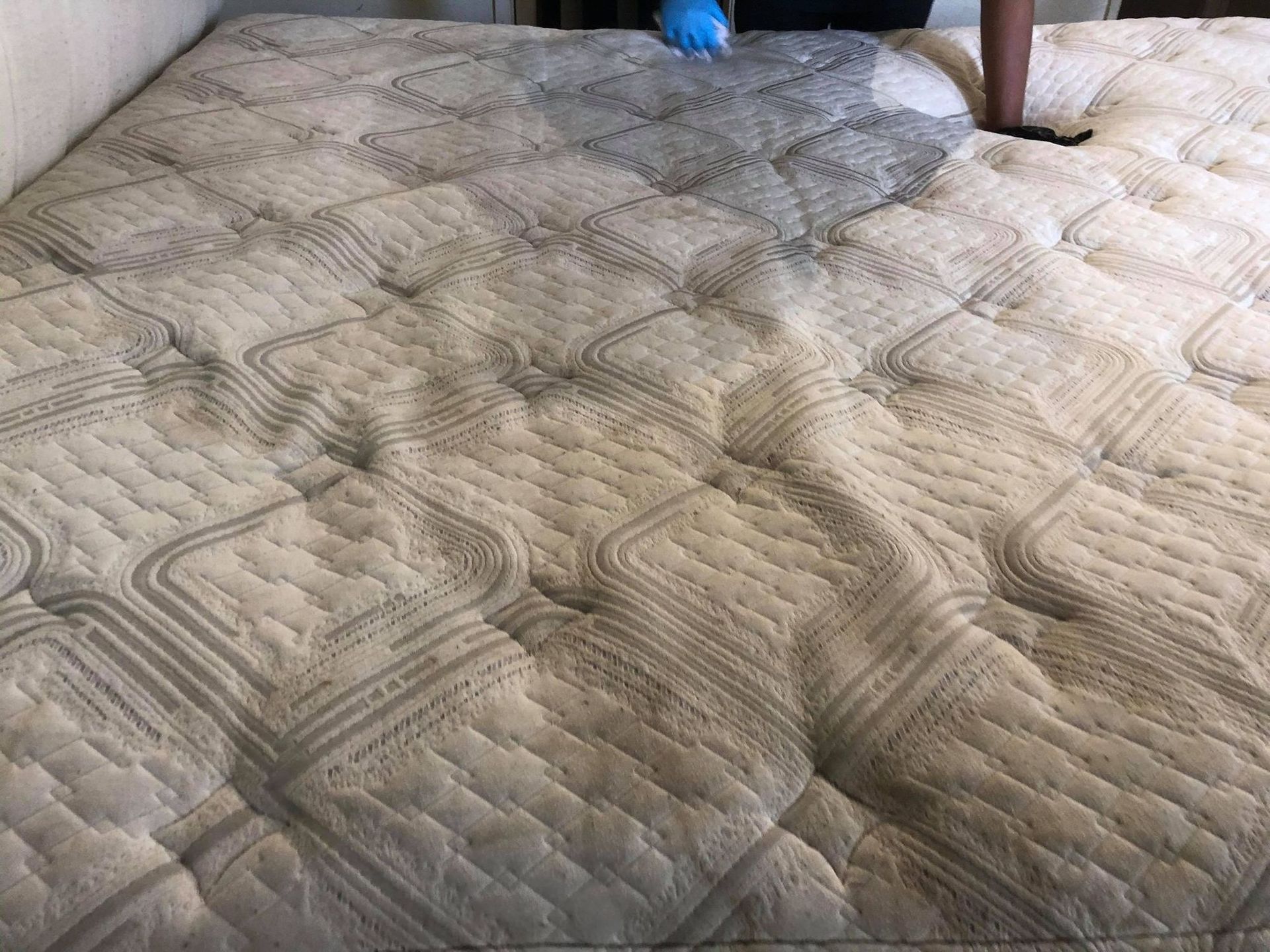 A person is cleaning a mattress with a vacuum cleaner.