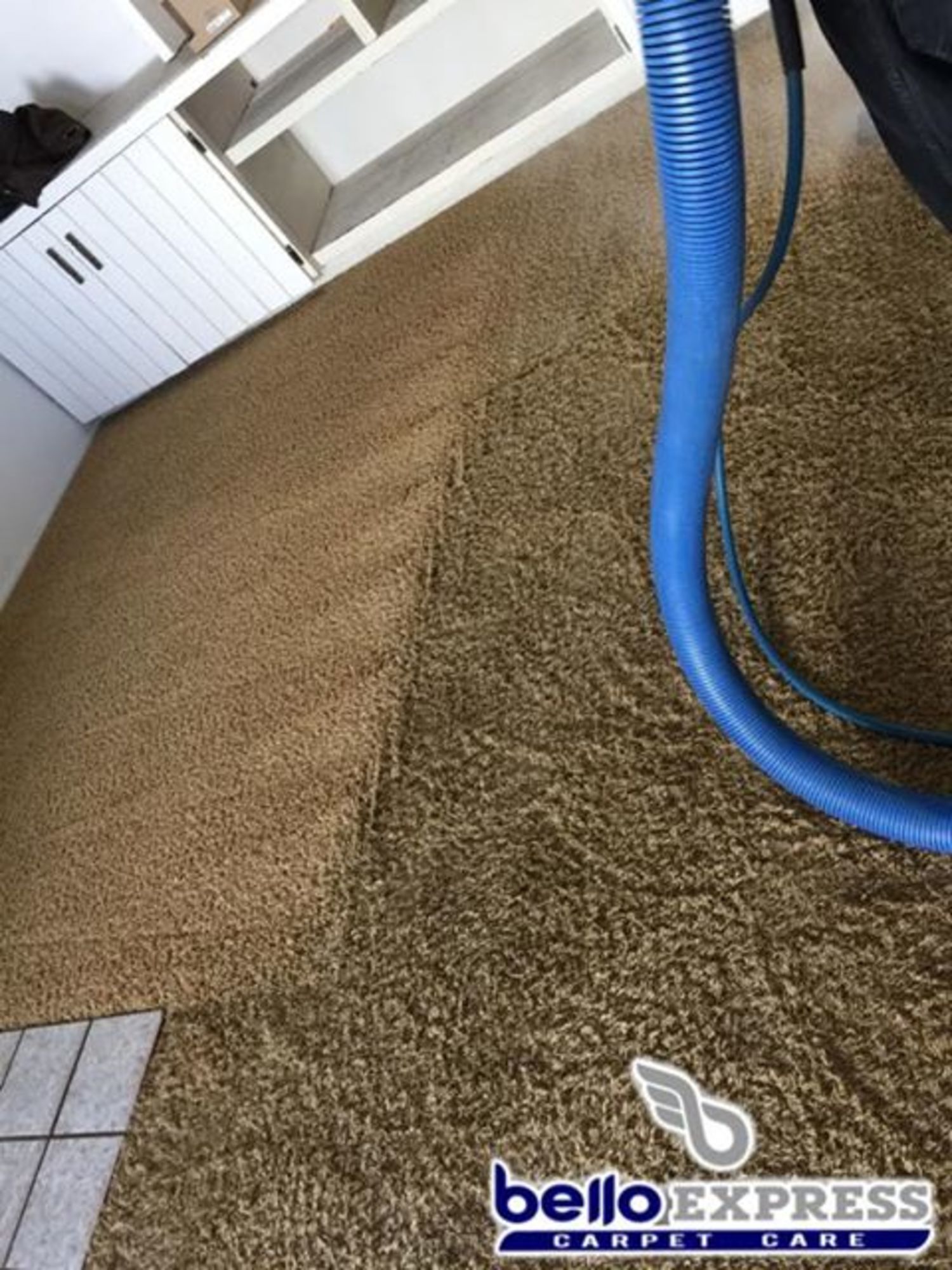 A bello express carpet cleaner is cleaning a carpet