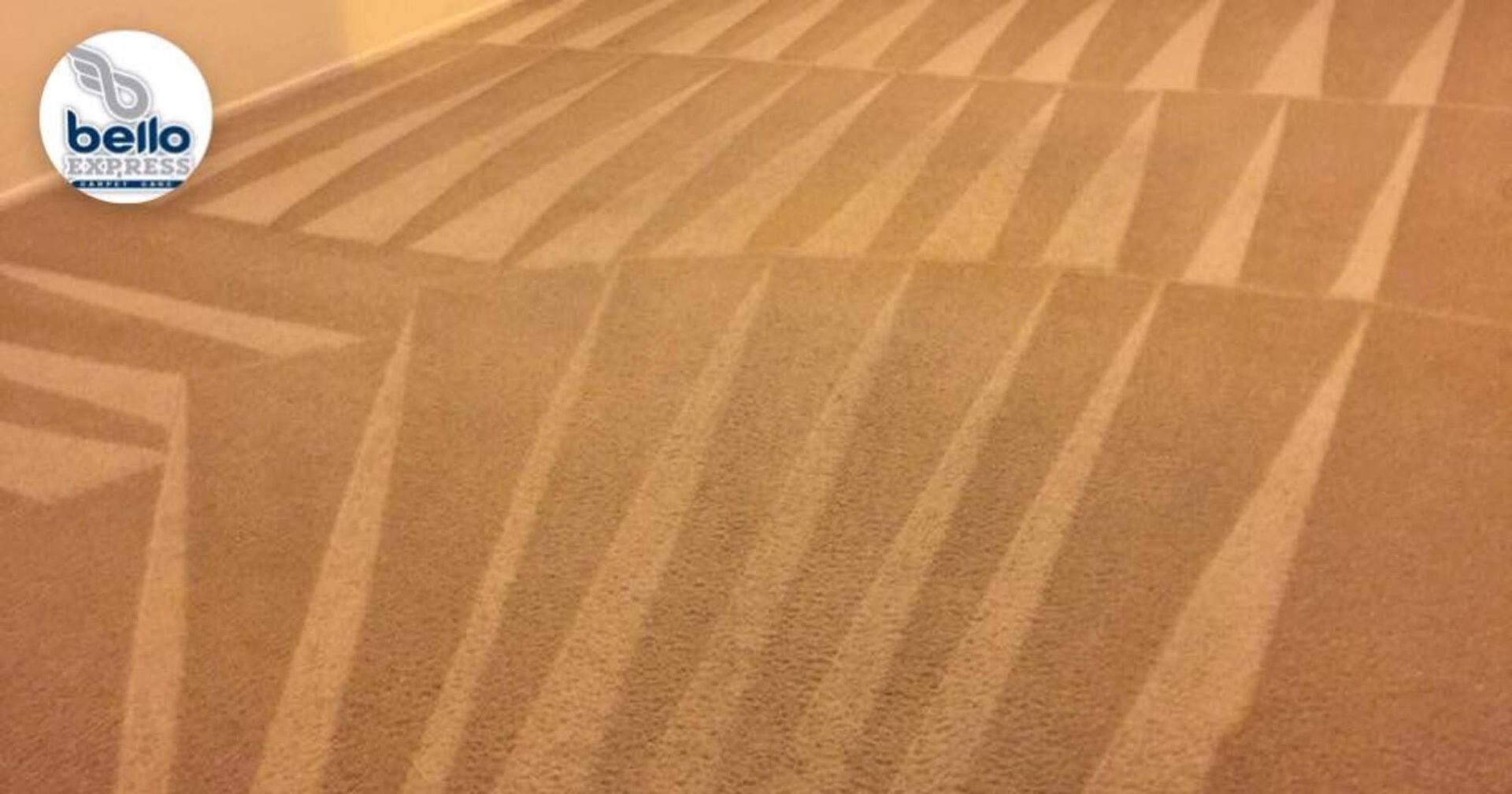 A brown carpet with a bello logo in the corner