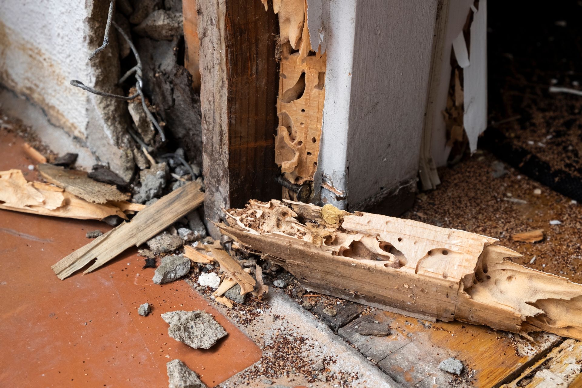 Severely rotted wooden door frame with damaged trim and crumbling debris on the floor