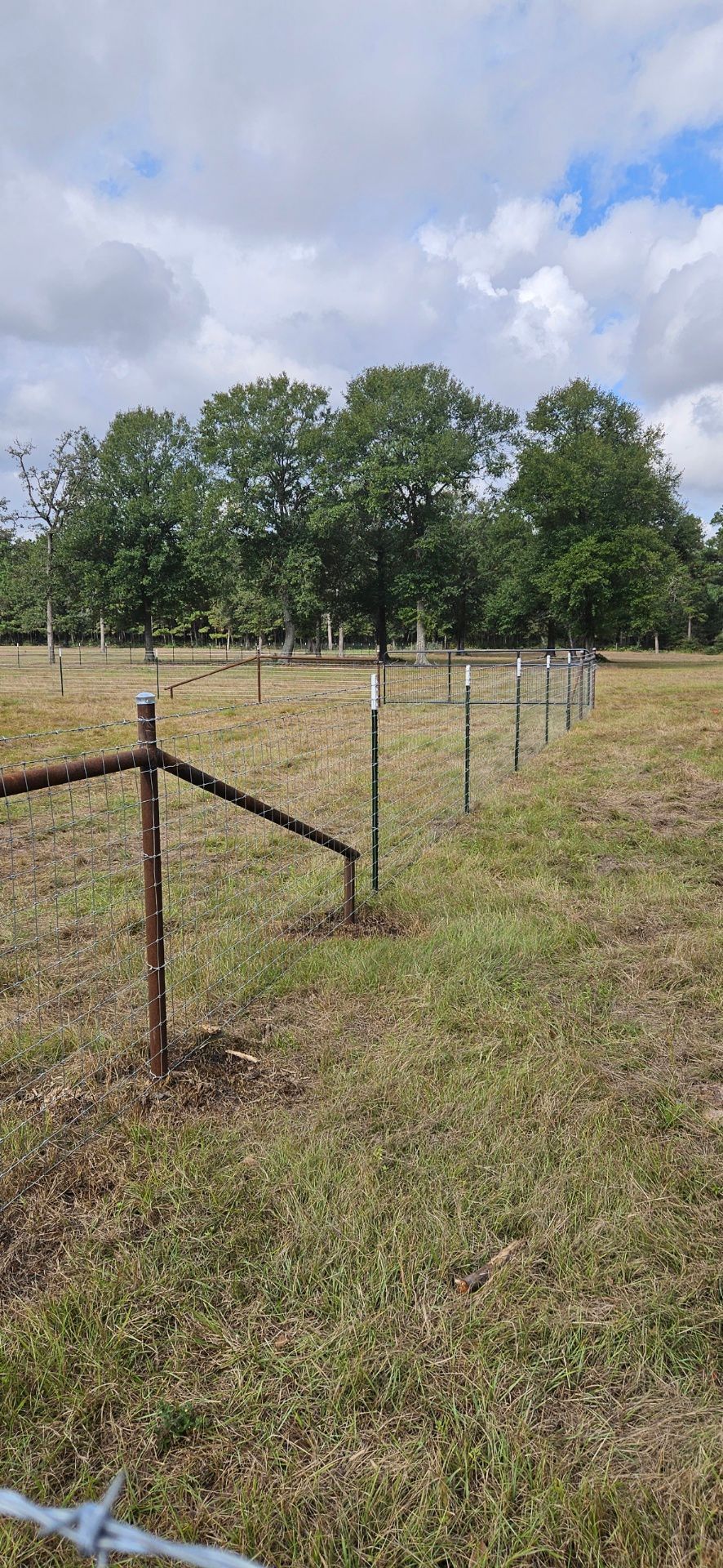 A grassy field with a fence in the foreground. Trees and a cloudy sky are in the background.