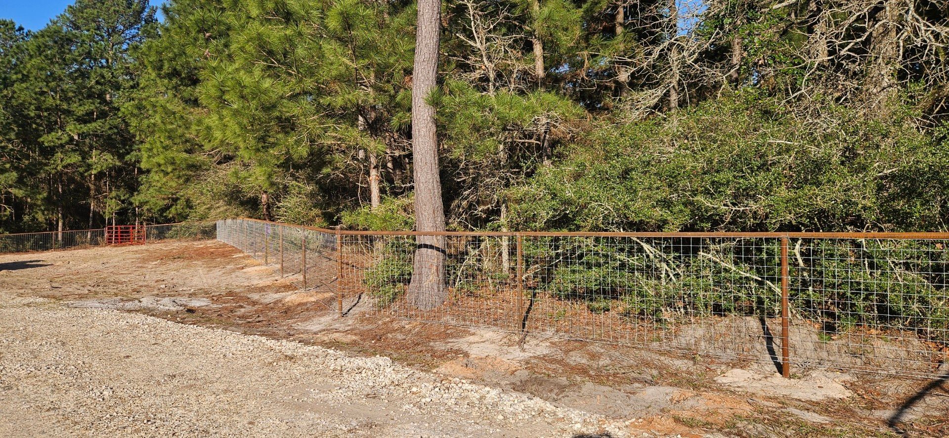 A metal fence runs through a wooded area. A large tree is in the center with lush green bushes. Ground is gravel and dirt.