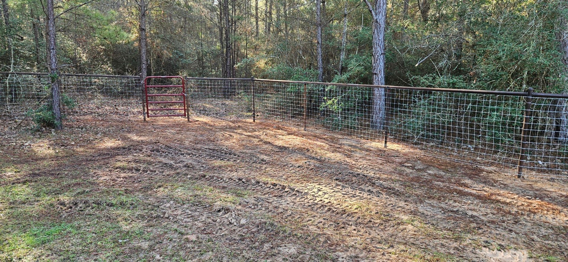 A metal fence with a gate surrounds a wooded area with trees and leaves on the ground.