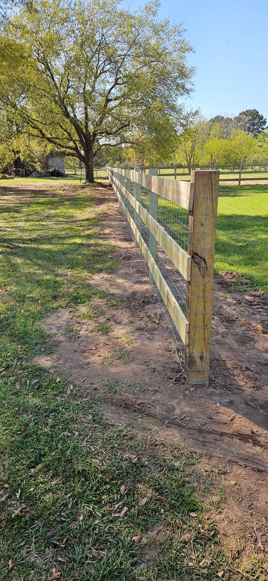 Wooden fence in a grassy field with trees in the background under a blue sky.