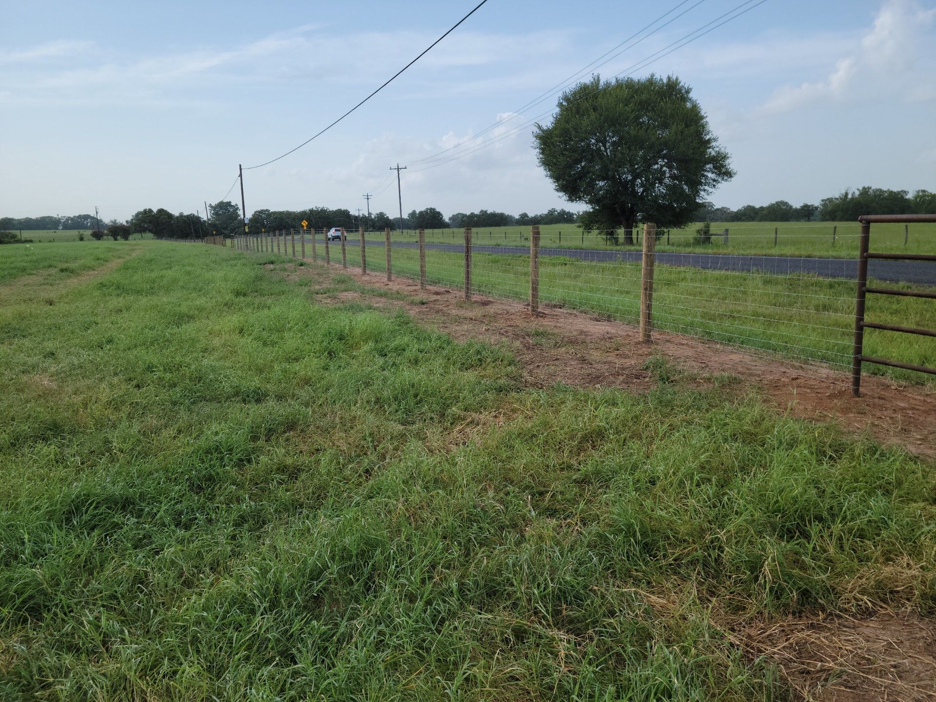 Field with newly constructed fence, power lines above, and a tree in the distance.