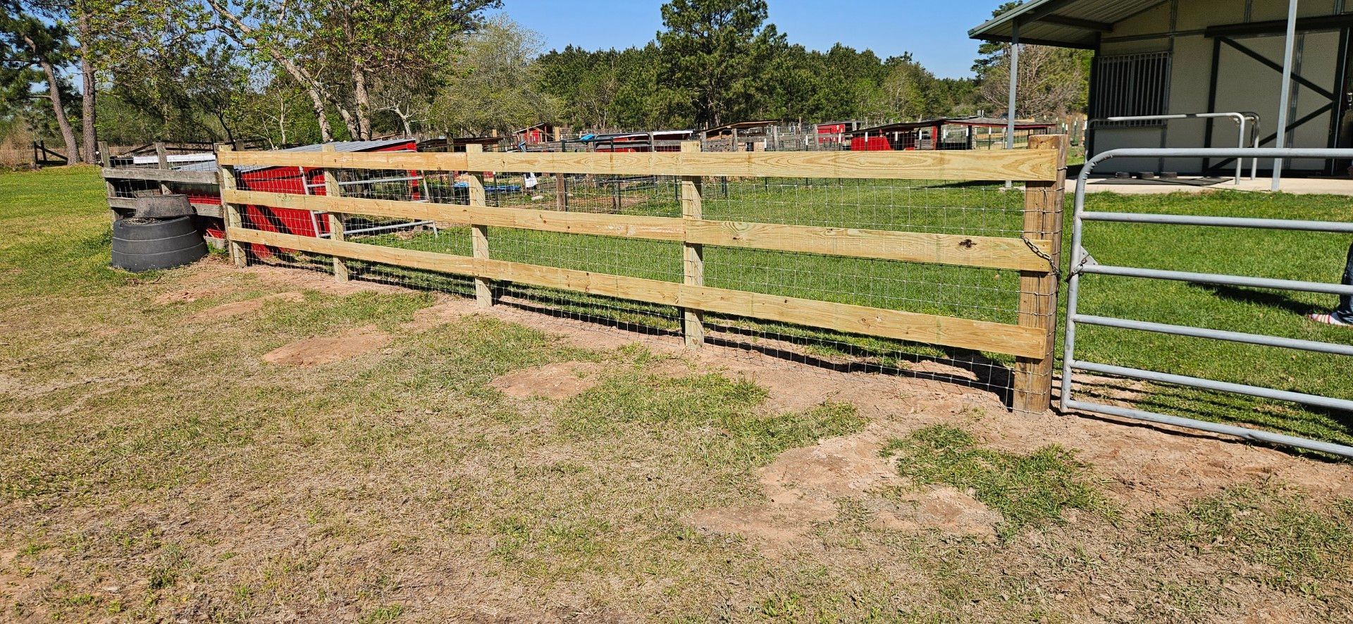 A wooden fence with a gate encloses a grassy area. A shed and trees are in the background.