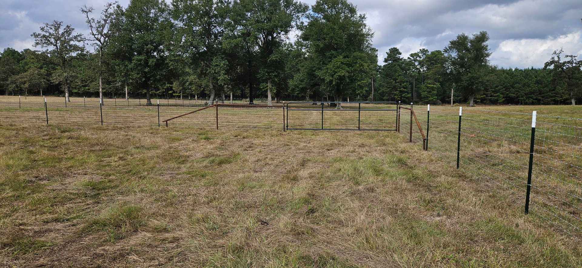 A field with trees in the background, with a fence of posts in front.