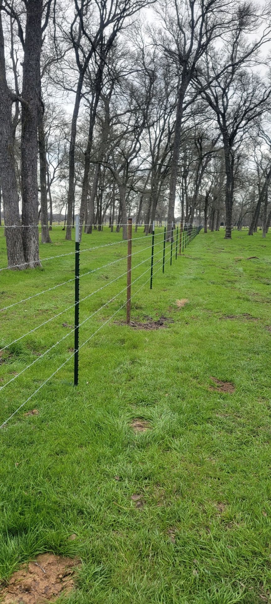 A barbed wire fence runs through a grassy field lined with trees under a cloudy sky.