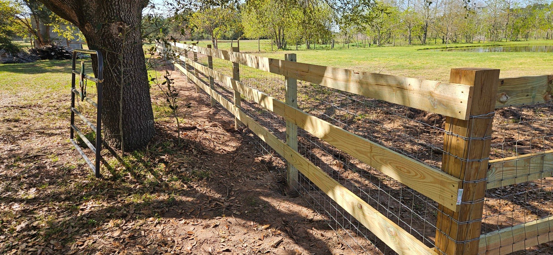 A wooden fence with wire mesh in a grassy field. A tree stands next to a gate at the beginning of the fence.