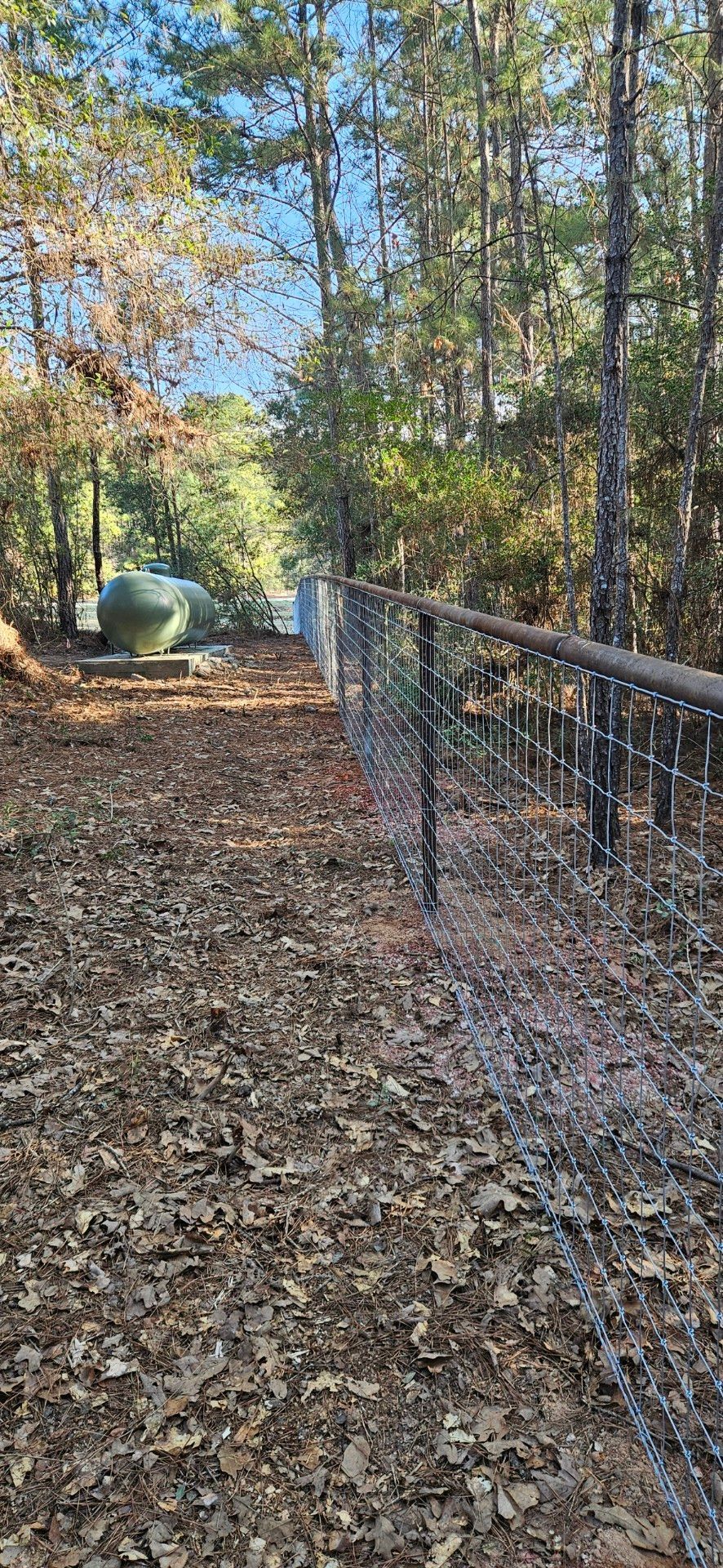 Path covered in leaves, bordered by a fence, and leads into a wooded area with a propane tank.