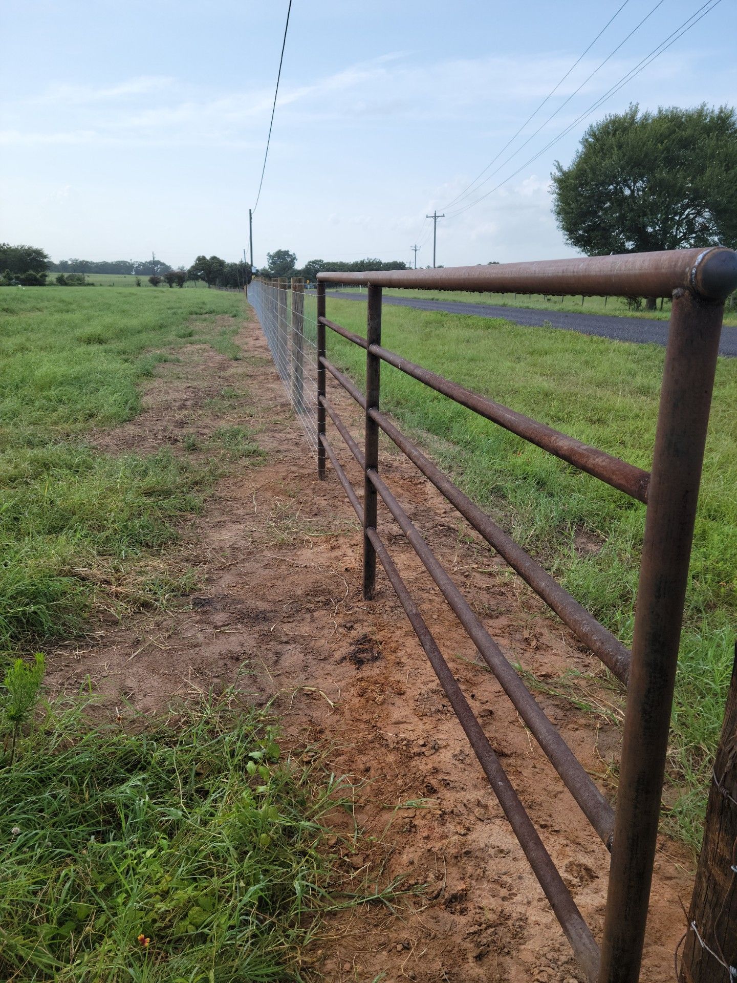 A metal gate and fence in a grassy field next to a road, under a blue sky.