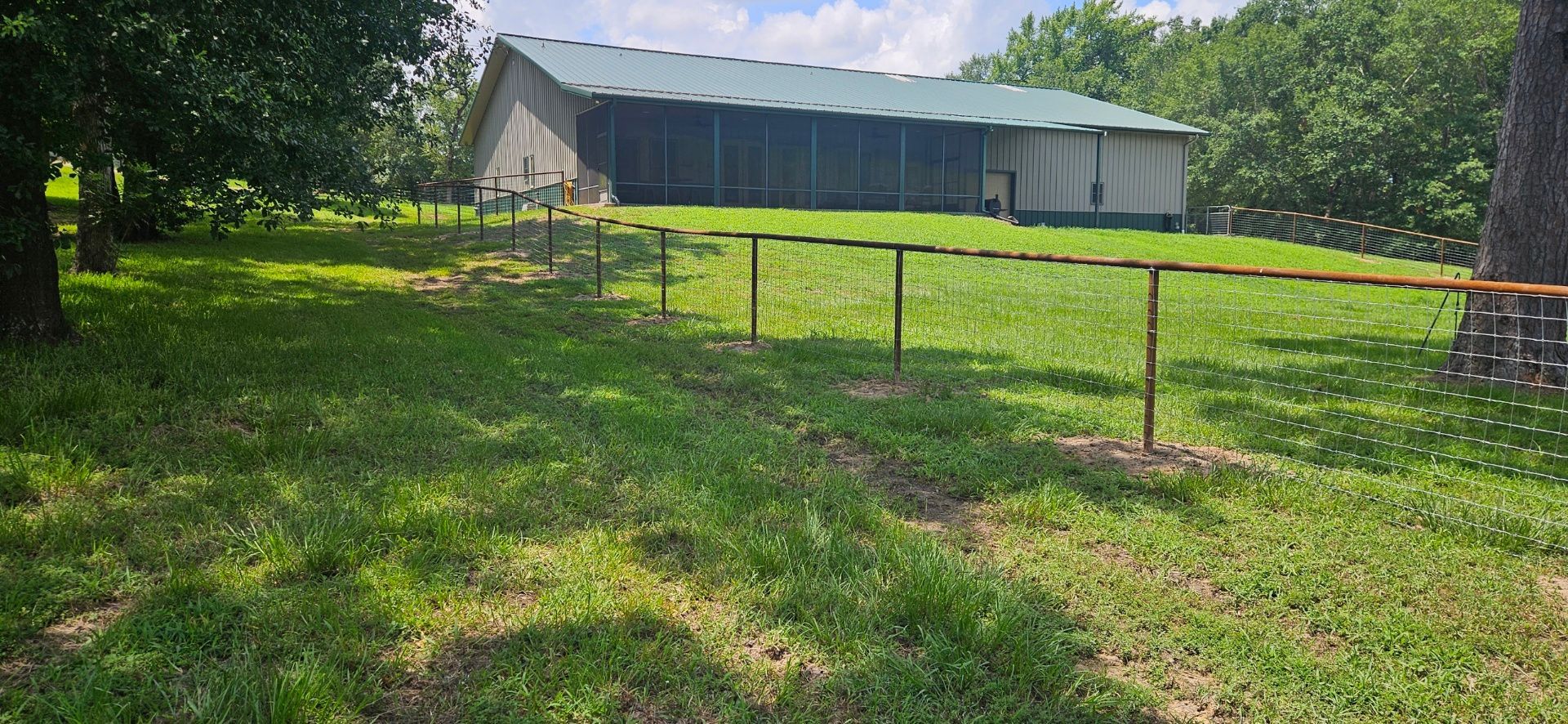 A grassy yard with a chain-link fence in front of a barn. Trees line the background.