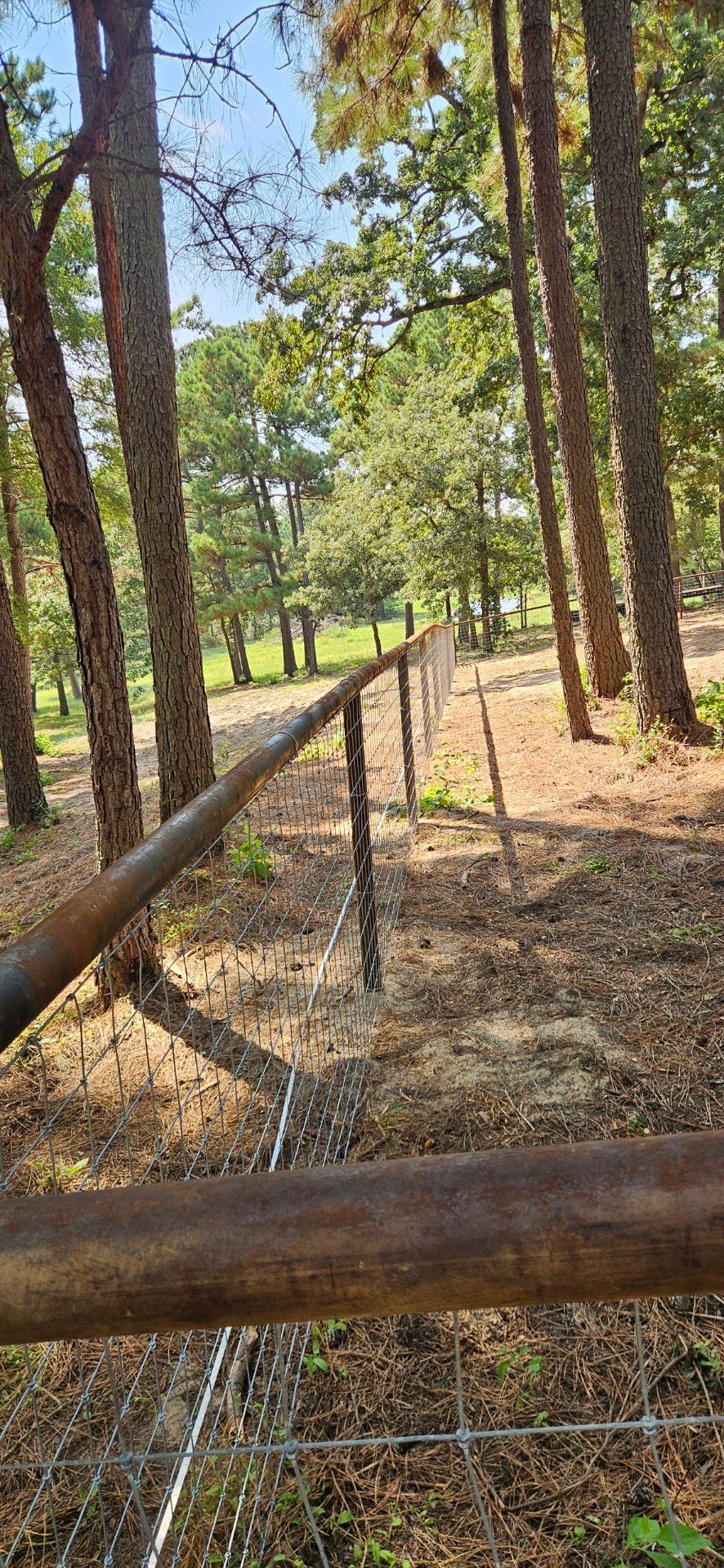 A wooden fence stretches through a forest with tall trees and a green background.