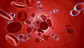 LABORATORIO DE ANÁLISIS CLÍNICOS ÁNGELES