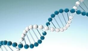 LABORATORIO DE ANÁLISIS CLÍNICOS ÁNGELES