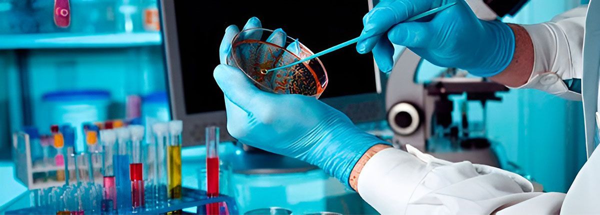 LABORATORIO DE ANÁLISIS CLÍNICOS ÁNGELES