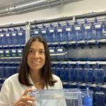 Ana Cristina Borges, Vice President