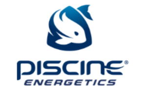 The word necton is written in green letters on a white background.