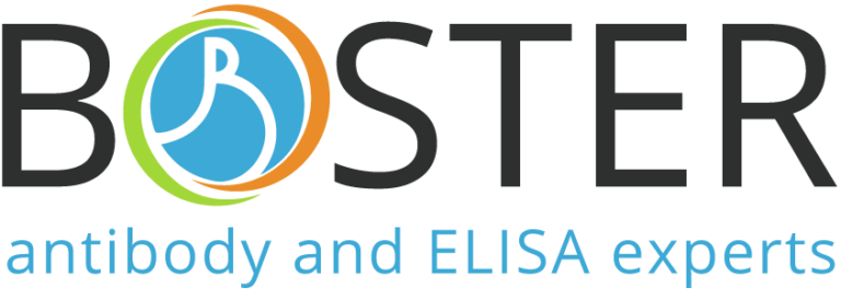 Bosterbio