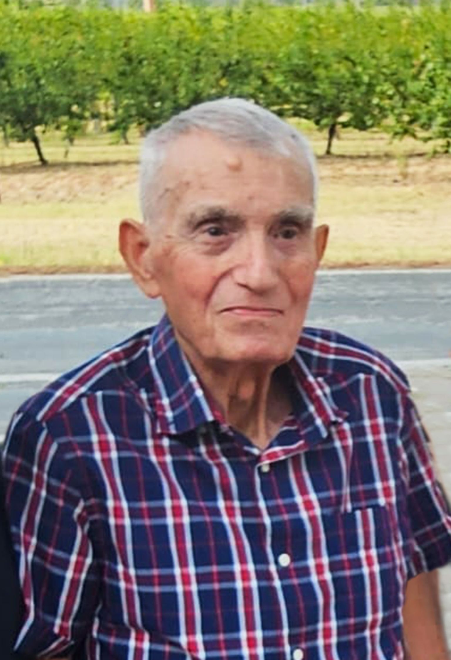 necrologio SERAFINO ZAPPI