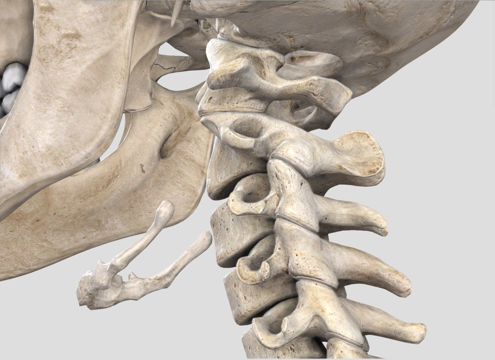 Principais causas de queimação cervical