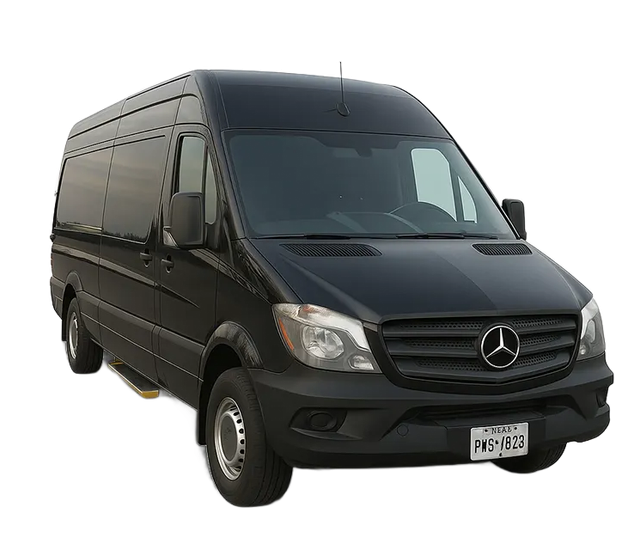Black Mercedes-Benz Sprinter van, parked outdoors.