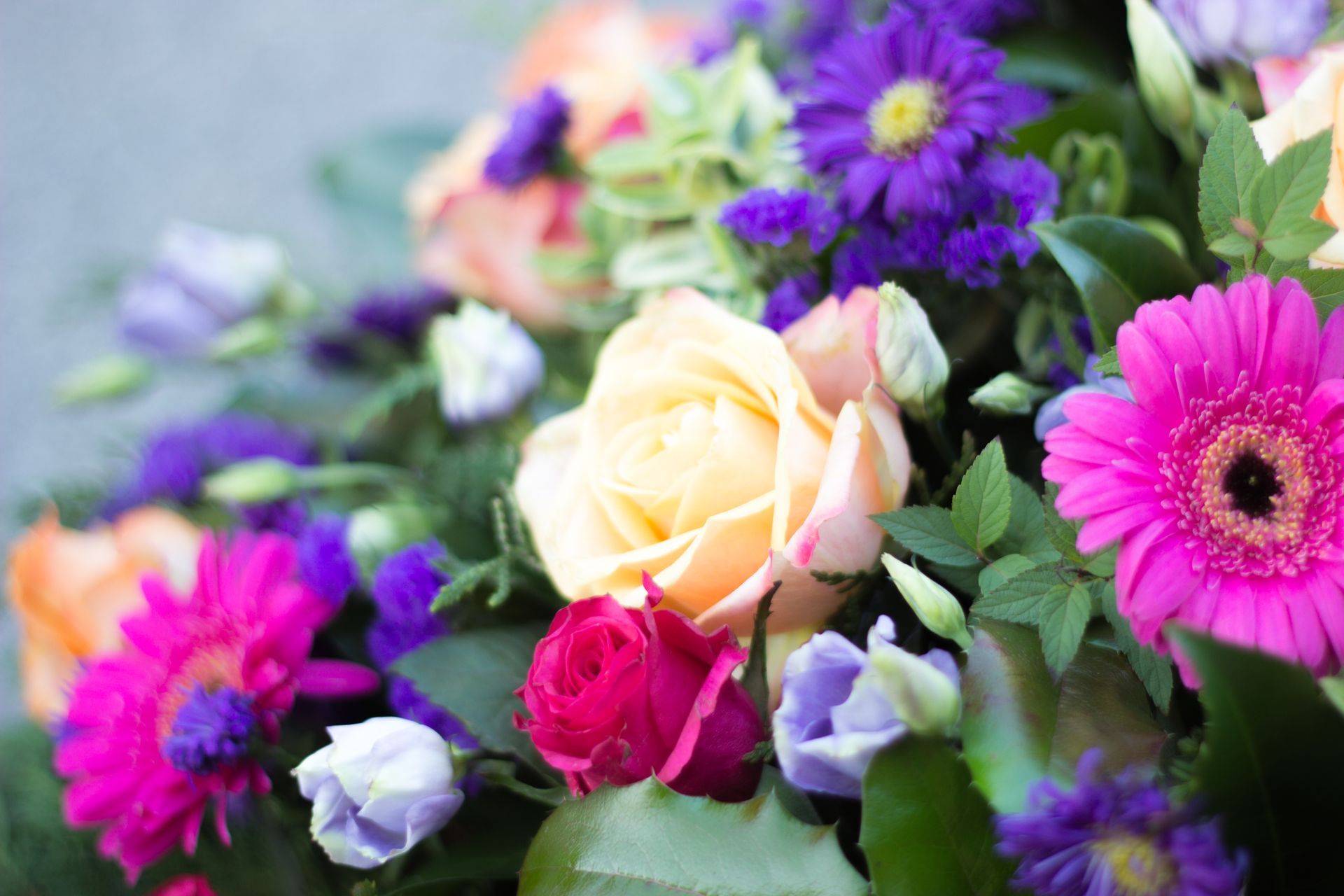 A close-up of a colorful flower bouquet featuring a central peach rose, a bright pink gerbera daisy, and deep purple blooms.
