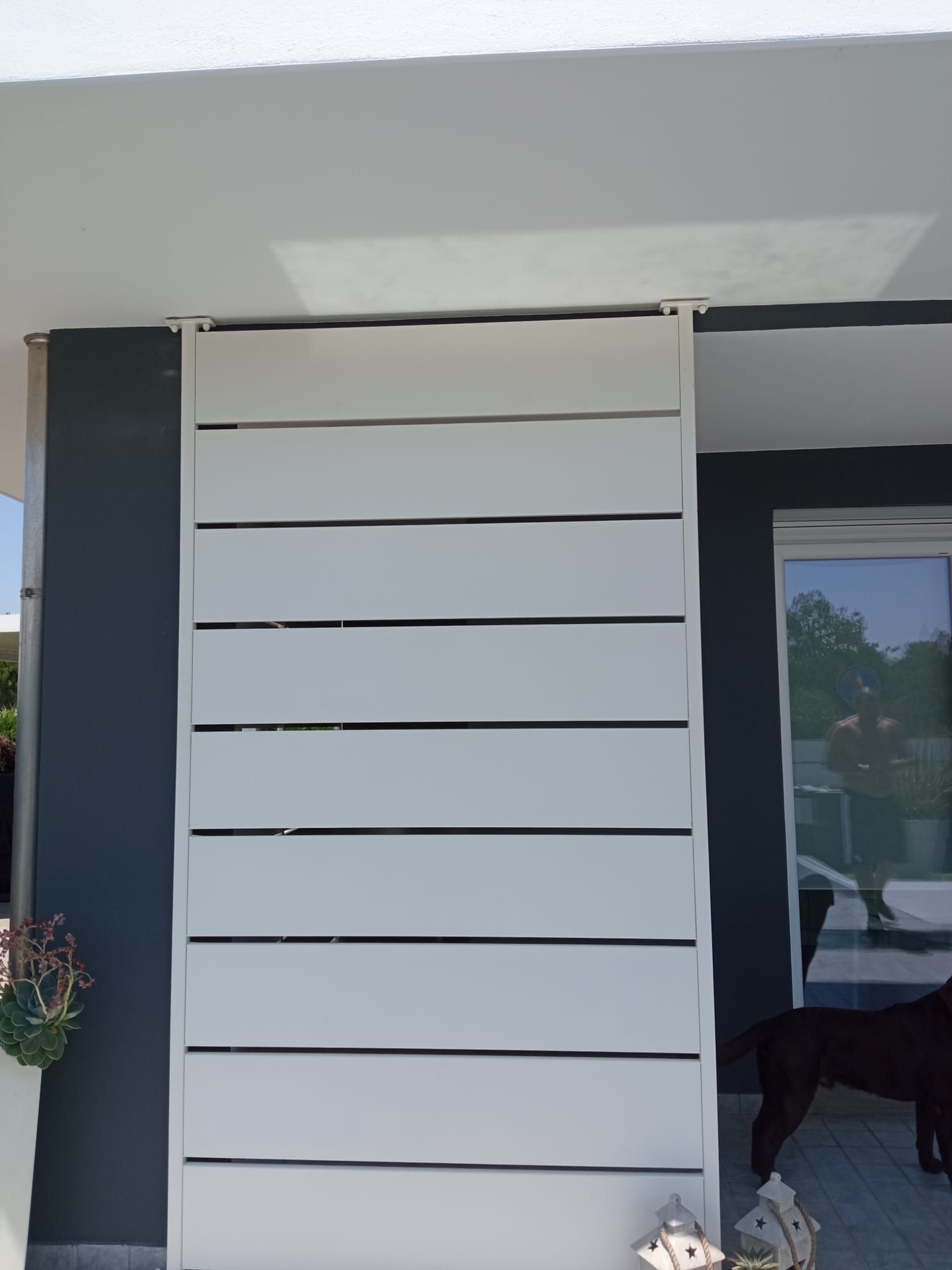 Tenda scorrevole bianca a doghe su un balcone. Parete grigio scuro, cane visibile.