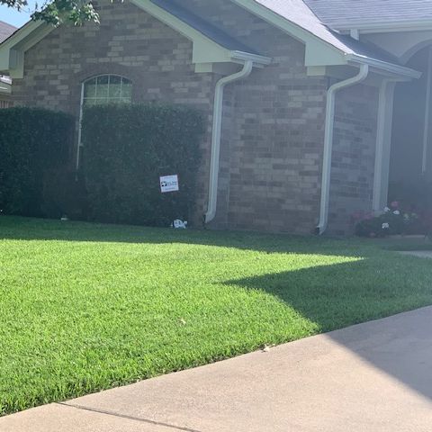 Green lawn in front of a brick house with a well-trimmed hedge and driveway.