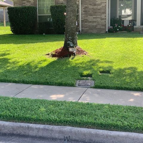 Lush green lawn with tree and sidewalk in front of a brick house on a sunny day.
