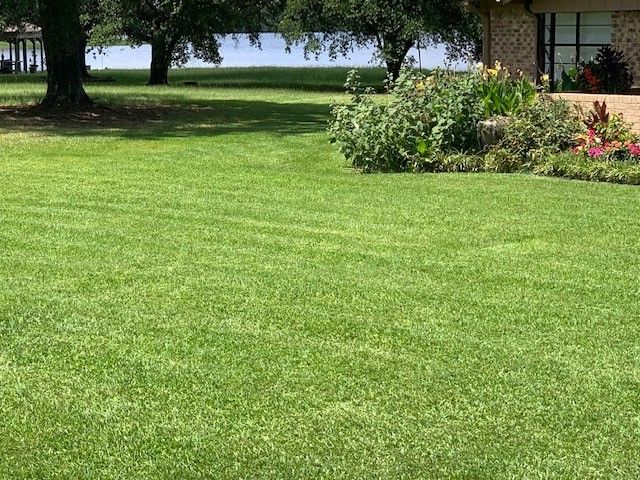 Lush green lawn with a garden bed, trees, and a lake in the background. Bright sunny day.