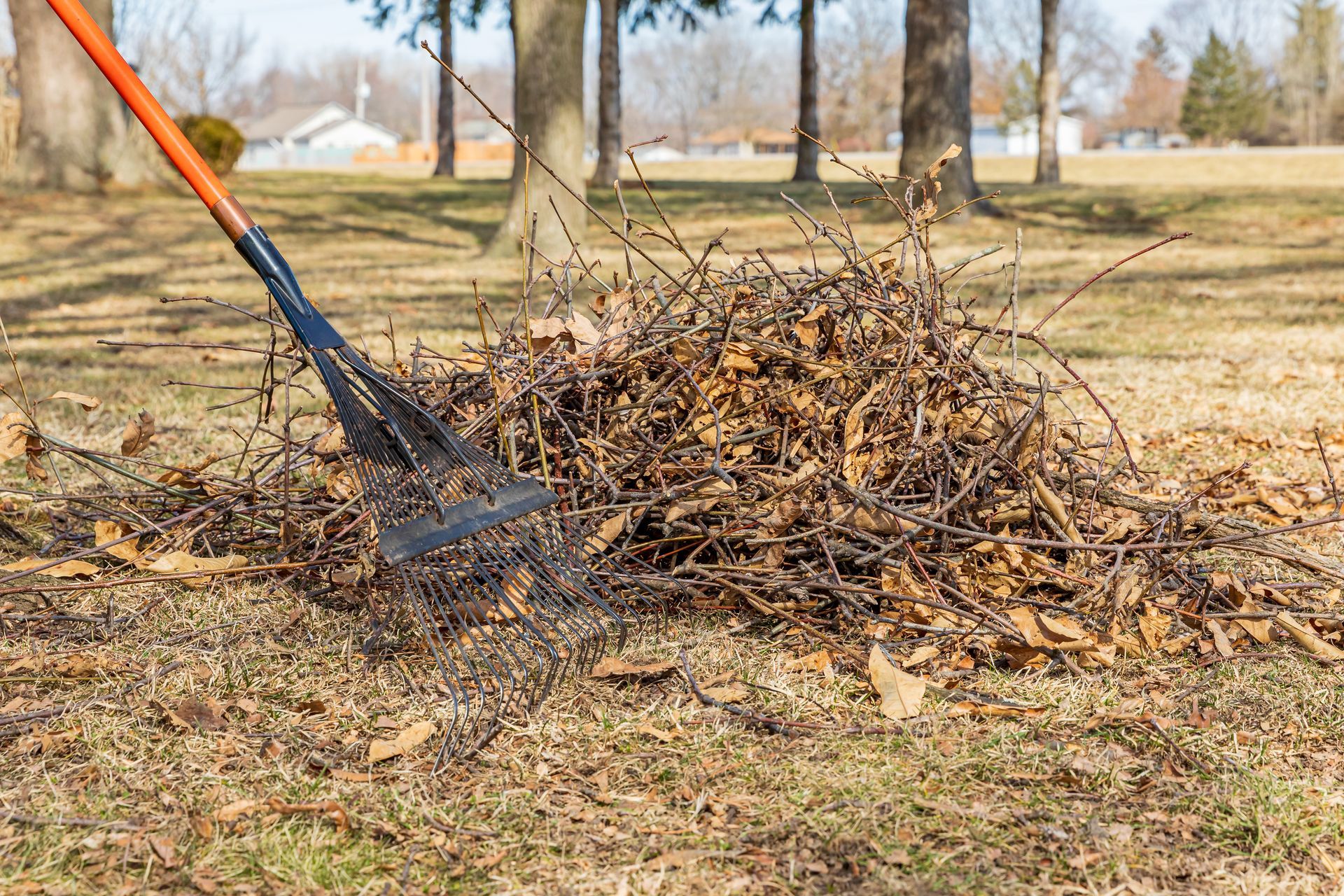 Rake with orange handle gathers dead leaves and twigs on a grassy lawn outdoors.