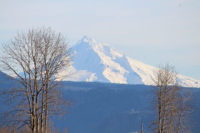 Mt Hood Views