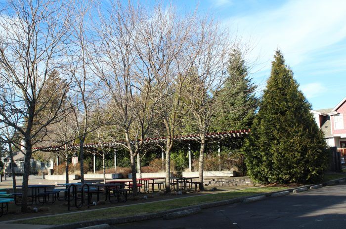 Outdoor Seating Area