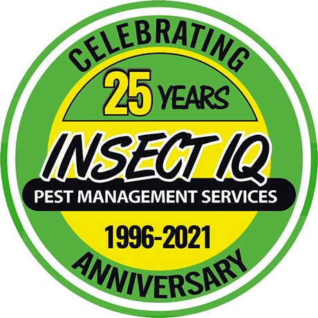 Celebrating 25 years Insect IQ