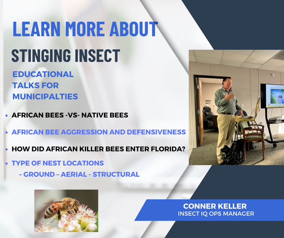 Learn more about BEES!
