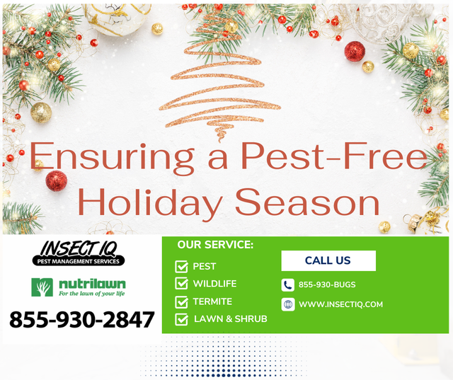 https://lirp.cdn-website.com/da3f7a81/dms3rep/multi/opt/Ensuring+a+Pest-Free+Holiday+Season-640w.png