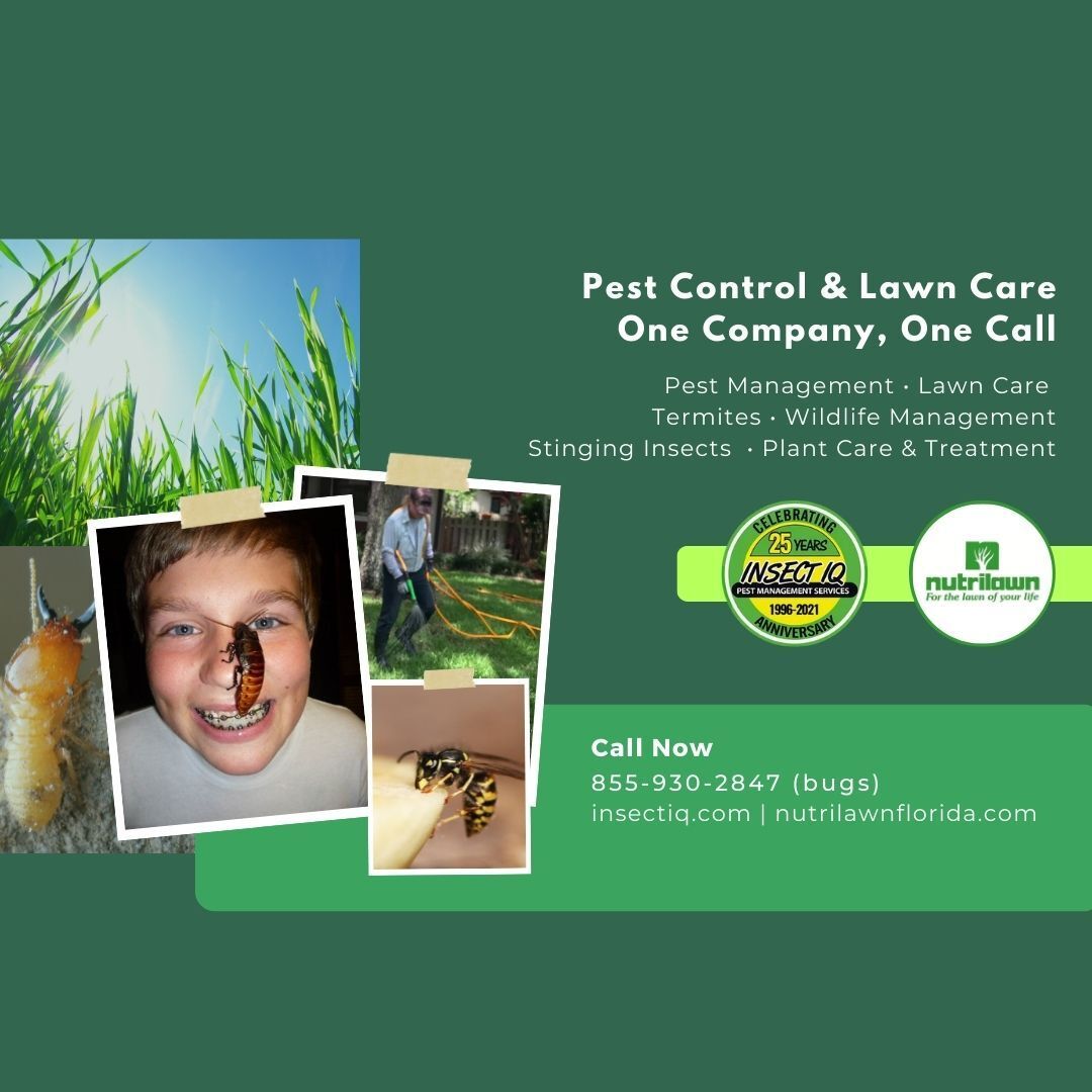 Pest Control & Lawn Maintenance—One Company, One Call