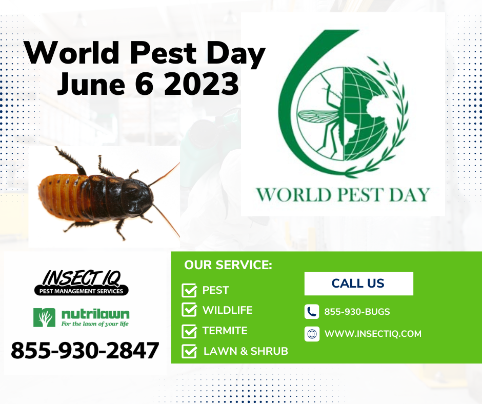 World Pest Day 2023