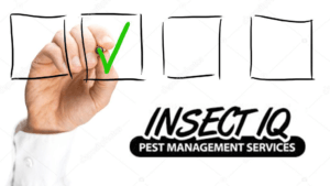 Pest Management Services