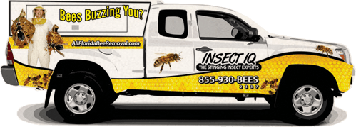 Yellow Bees Van